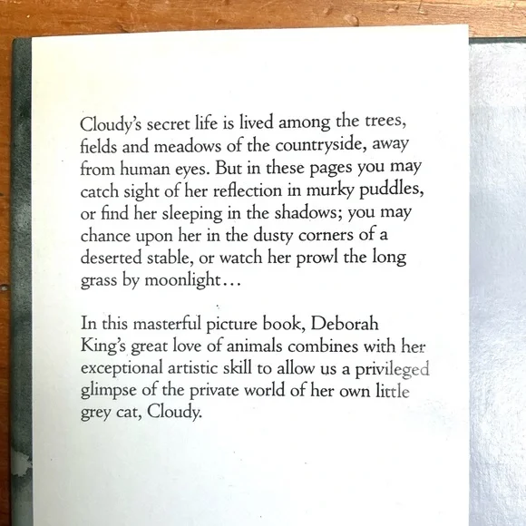 Children’s Book - “CLOUDY” - Picture 2 of 9